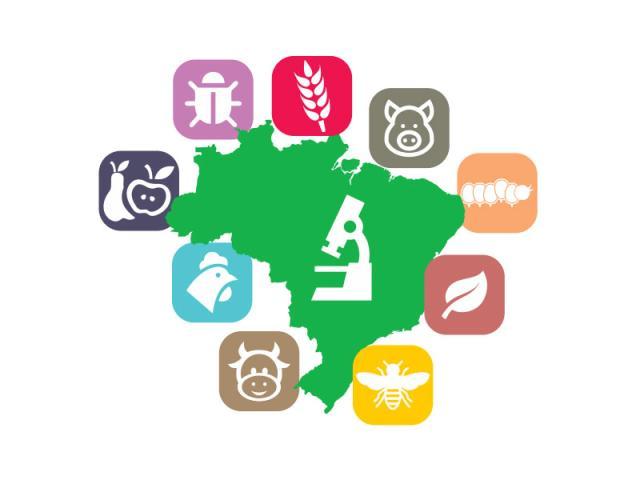 Seminário discute a defesa agropecuária diante das ameaças de pragas e doenças