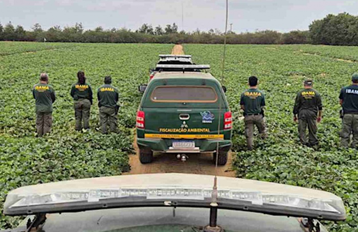 Ibama embarga áreas por irregularidades com pesticidas no RN