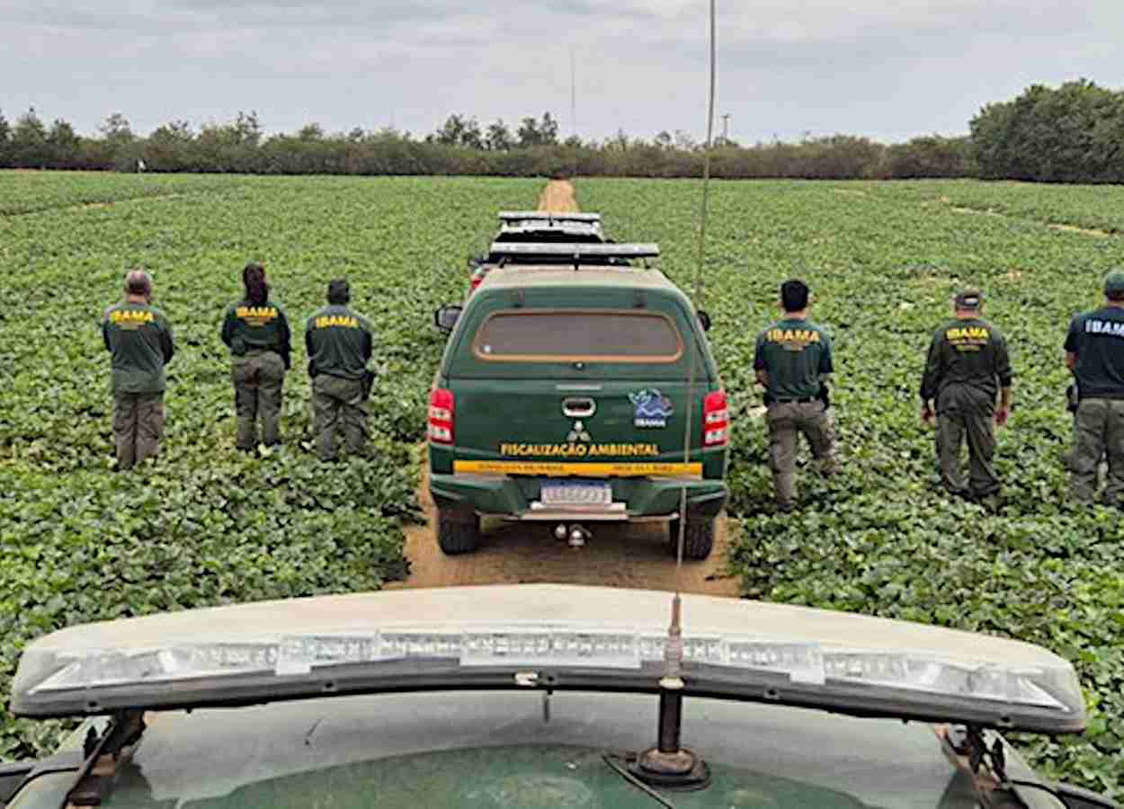 Ibama embarga áreas por irregularidades com pesticidas no RN