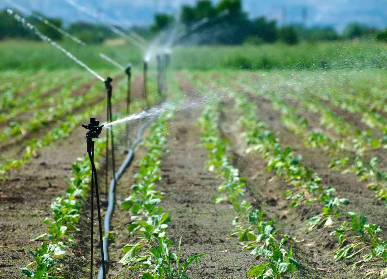 Workshop em Brasília abordará a gestão da água no agronegócio