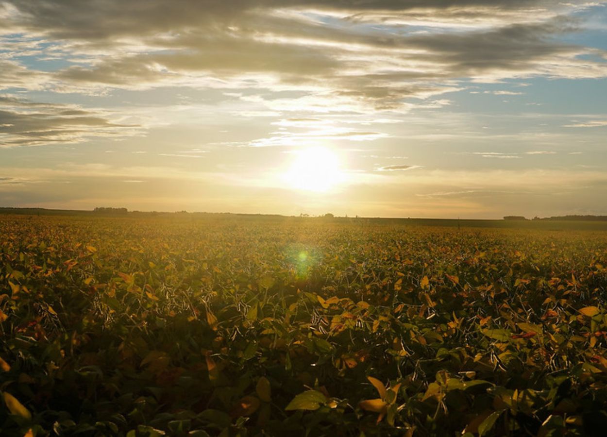 Crédit rural&nbsp;: Famato met en garde contre les prolongations de dette.