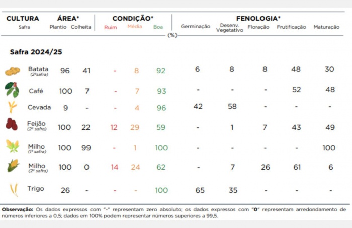 PR Safra 2024/25: estiagem afeta cultivos de segunda safra
