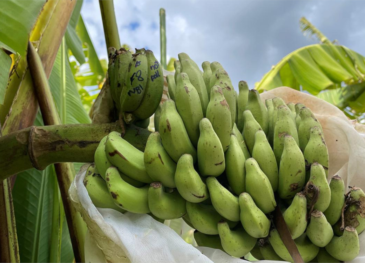 Foto:&nbsp;Elizabeth Aitken