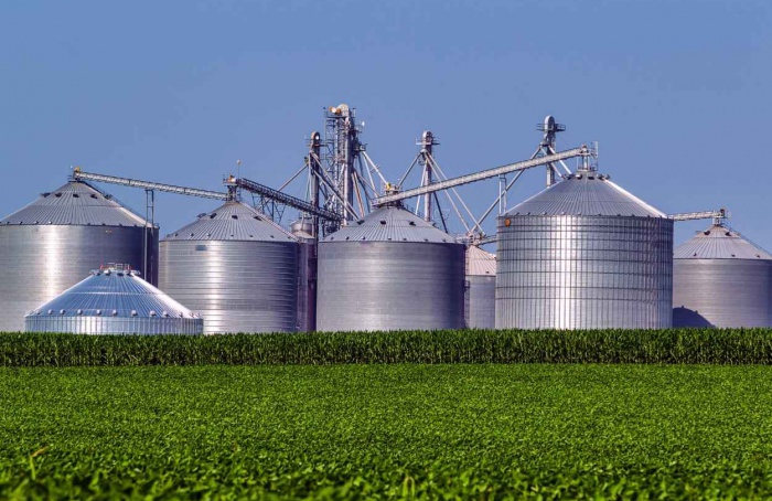 Indústrias ligadas ao agro concentram 39% dos empregos no RS