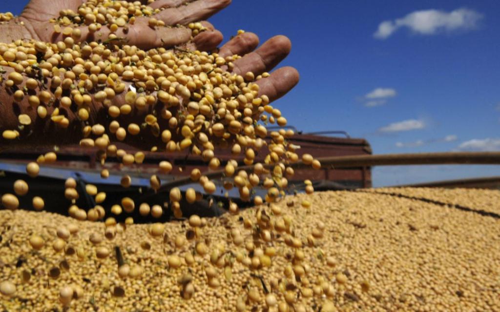 ​  Brandt do Brasil leva tecnologias para soja e milho ao dia de campo da Produza Mais