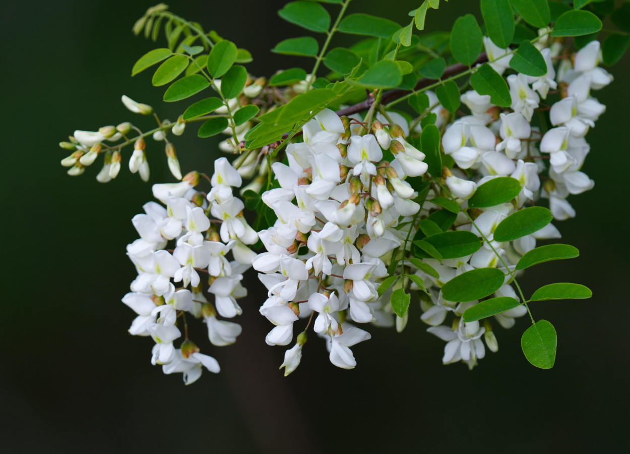 Foto:&nbsp;대정 김 from Pexels