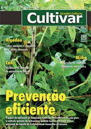 Prevenção eficiente