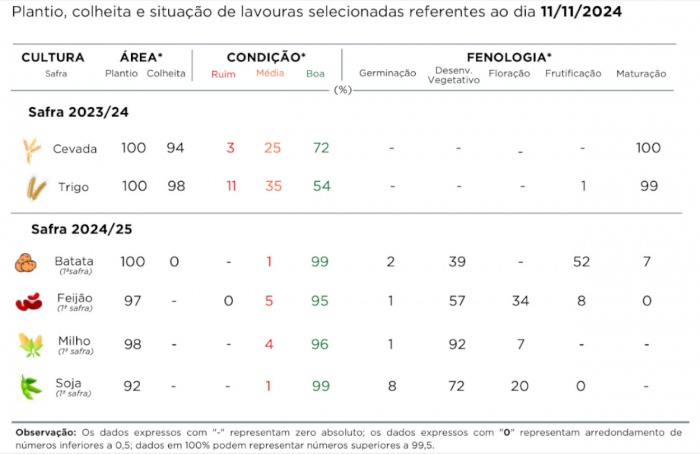 Chuvas e temperaturas elevadas impactam cultivos no Paraná