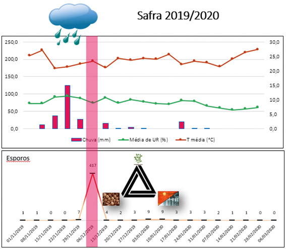 Figura 1 - Relação entre as condições ambientais e a presença de esporos da P. pachyrhizi, na safra (2019/2020)