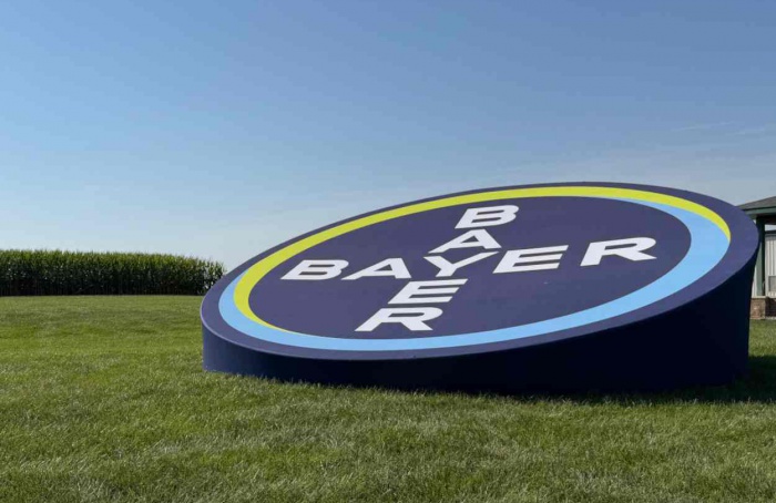 Bayer amplia pipeline com foco em soja, milho e defensivos