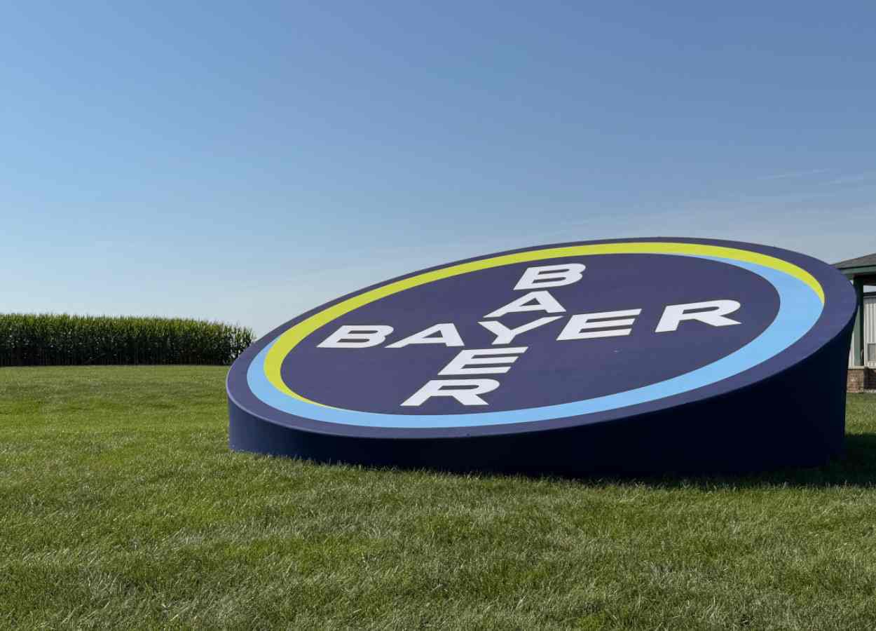 Bayer amplia pipeline com foco em soja, milho e defensivos