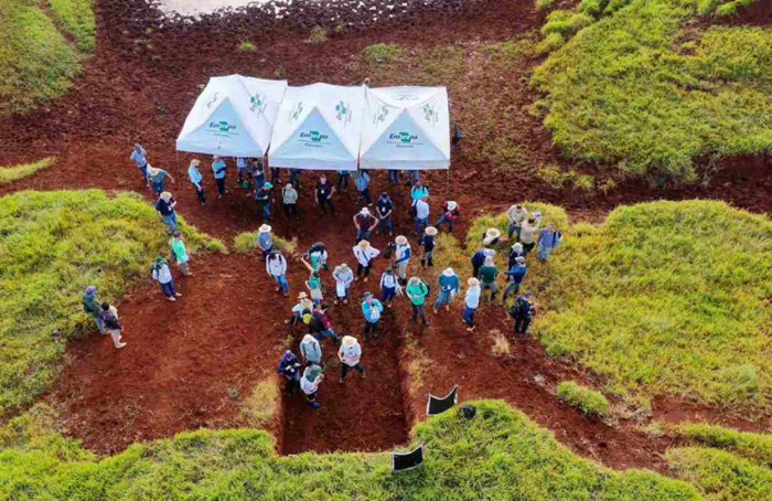 Estudo aponta perda de nascentes em áreas rurais do Paraná