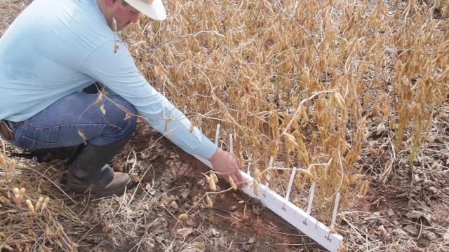 Ihara desenvolve linha de herbicidas do futuro – Show Rural Coopavel