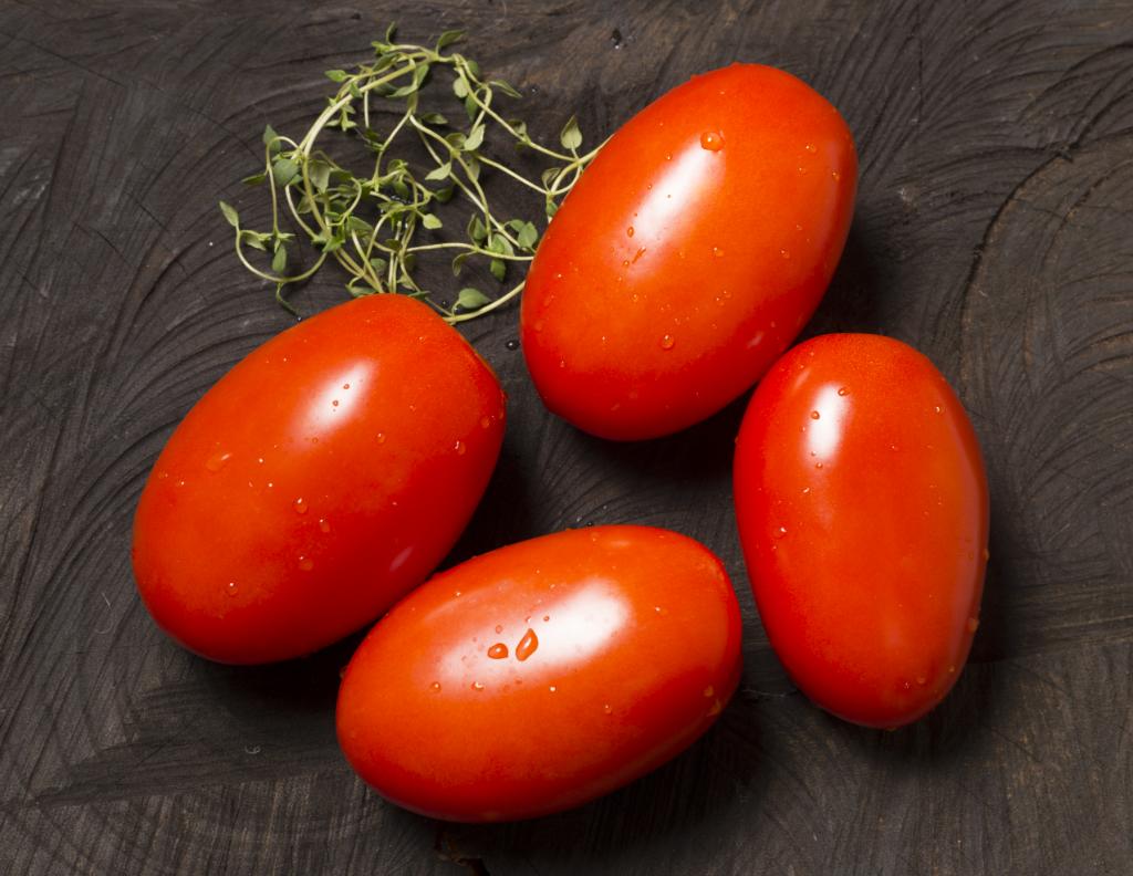 Evolução do mercado de tomate de mesa é tema de palestra em GO