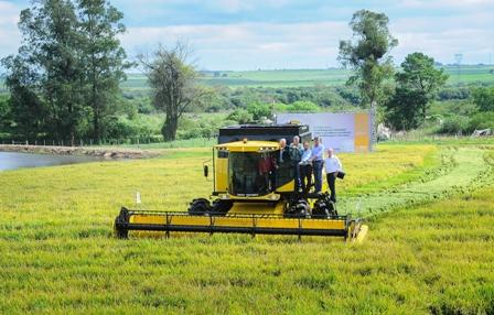 Aberta oficialmente a Colheita do Arroz no Rio Grande do Sul