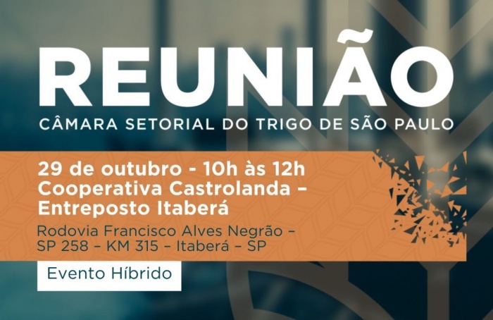 Câmara do Trigo de SP discutirá projeções para a safra 2026/27