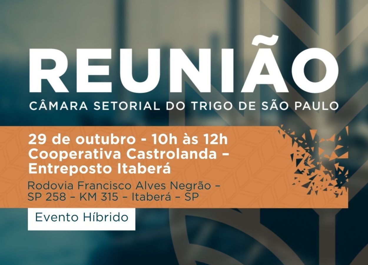 Câmara do Trigo de SP discutirá projeções para a safra 2026/27