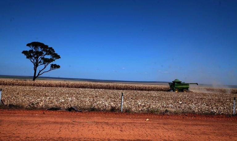 Propriedade rural elimina erosões e seca com uso de plantio direto