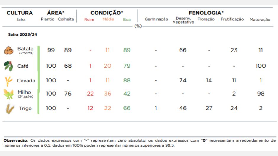 Plantio, colheita e situação de lavouras selecionadas referentes ao dia 22/07/2024