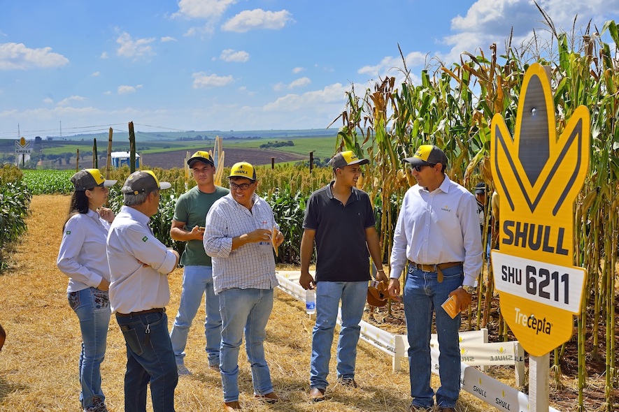 Newest option in corn and sorghum hybrids, Shull Seeds offers modern portfolio