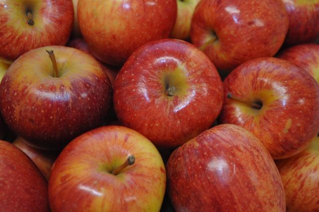 Índia abre mercado para maçã fresca do Brasil