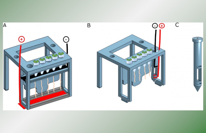 Tecnologia utiliza campos elétricos para proteger culturas contra patógenos
