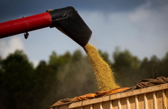 Soja e milho representam 74% do valor bruto da produção agrícola em Mato Grosso do Sul