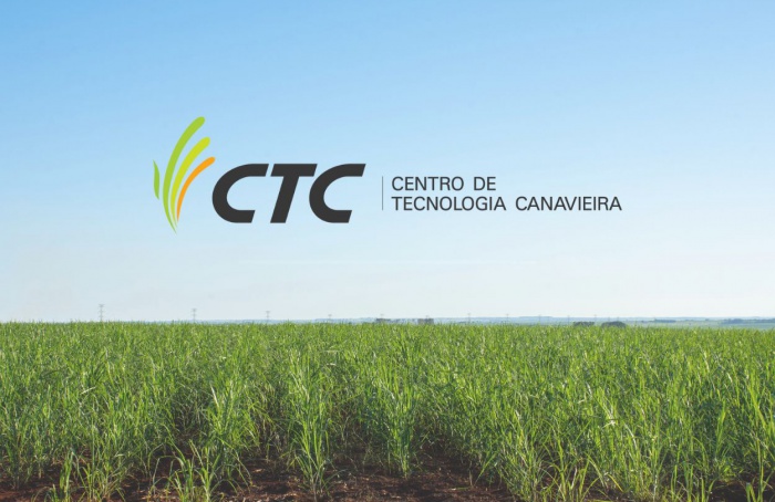 CTC registra crescimento de 8,3% no lucro no 1T25,  alcançando R$ 35,8 milhões