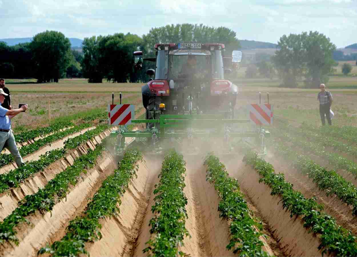 PotatoEurope mostrará tecnologias para bataticultura em 2026