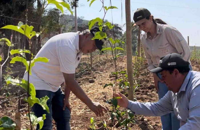 Coopercam lança projeto pioneiro voltado a fruticultura