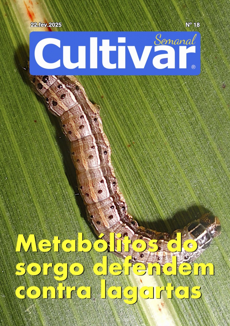 Cultivar Semanal 18