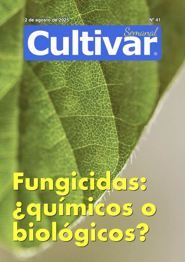 Cultivar Semanal 41