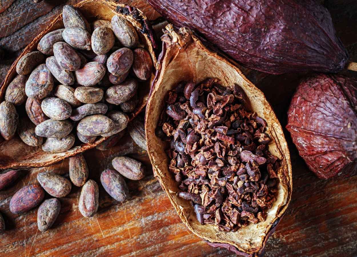 Cacau recua a níveis reais pré crise e abre novas oportunidades