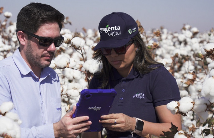 Aumento de pragas e doenças em algodão recebeu atenção da Syngenta em congresso