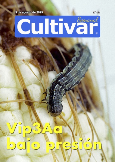 Cultivar Semanal 42