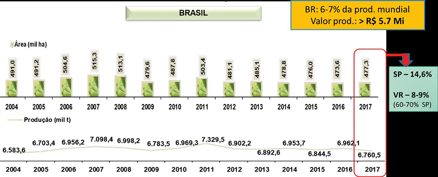 Figura 1 - Área, produção e valores da produção de bananas no Brasil (IBGE/PAM, 2017)
