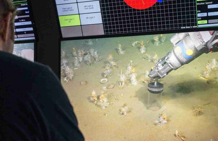 Estudo propõe novo modelo para origem da vida complexa