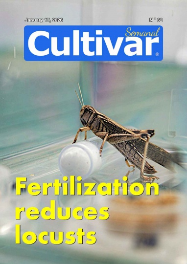 Cultivar Semanal (wöchentlich) 62