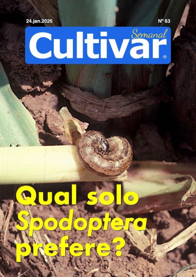 Cultivar Semanal 63