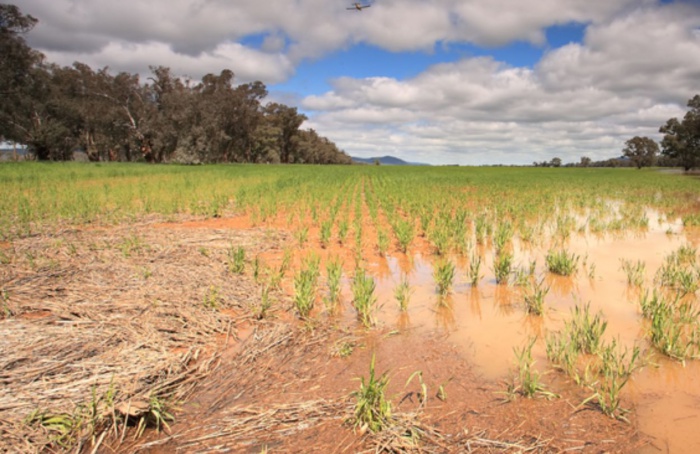 Ministério da Agricultura monitora no Rio Grande do Sul a atuação das seguradoras habilitadas no PSR