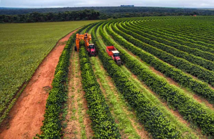 Desembolso do crédito rural no Plano Safra 2023-24 alcança R$ 400,7 bilhões