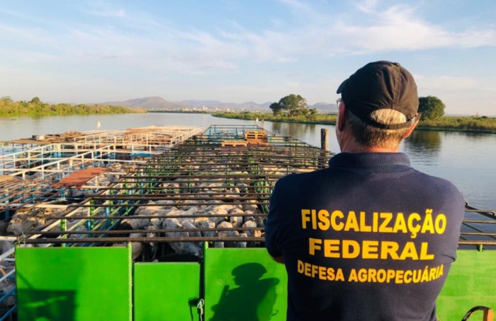 Nova lei reforça defesa agropecuária nas fronteiras