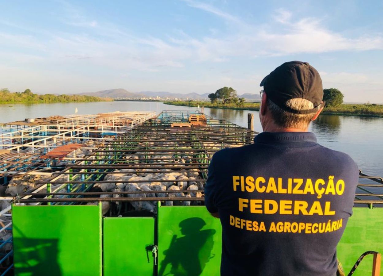 Nova lei reforça defesa agropecuária nas fronteiras