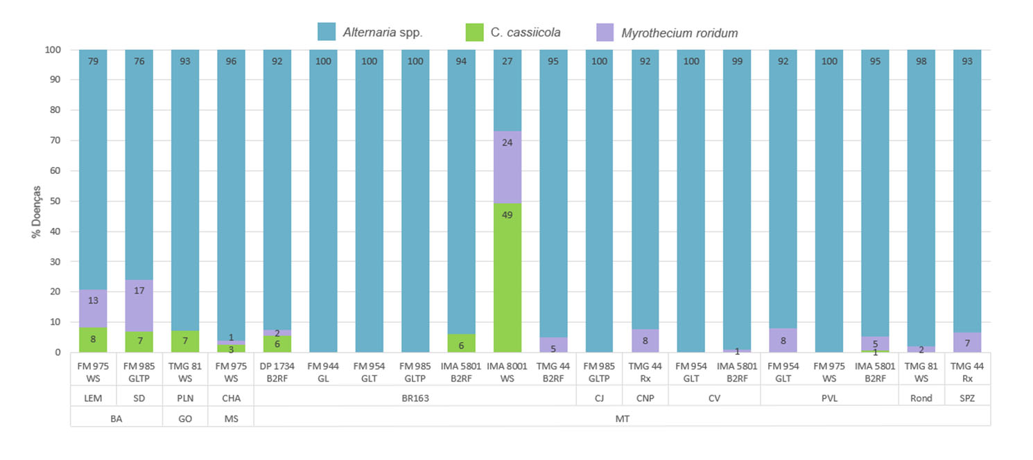 Figura 4: Distribuição percentual de ocorrência de manchas foliares na safra de algodão 2019/2020 de acordo com a região de amostragem. Amostragem realizada aos 130 dias após a emergência da cultura.