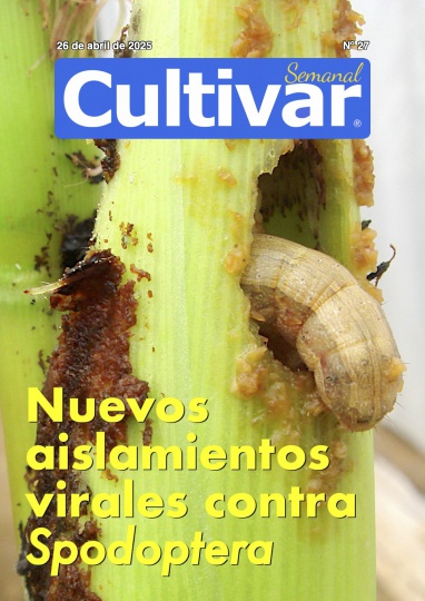 Cultivar Semanal 27