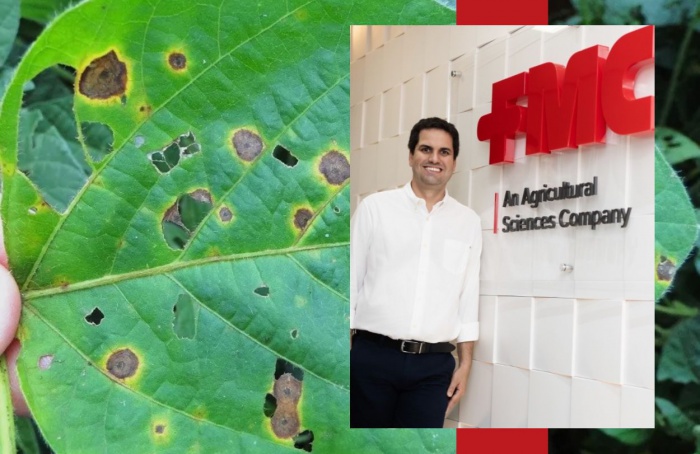 Mancha-alvo ganha espaço nas lavouras de soja