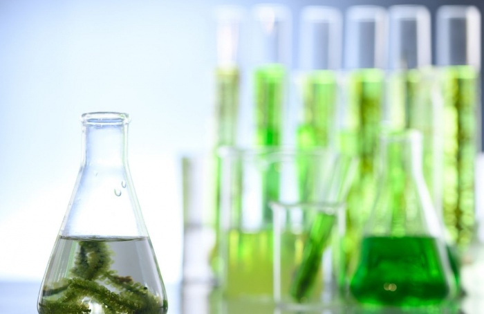 Brasil pode quadruplicar o uso biocombustíveis até 2035