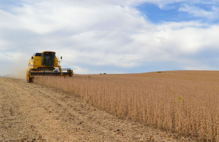 Colheita da soja chega a 50% na área da Cotrijal