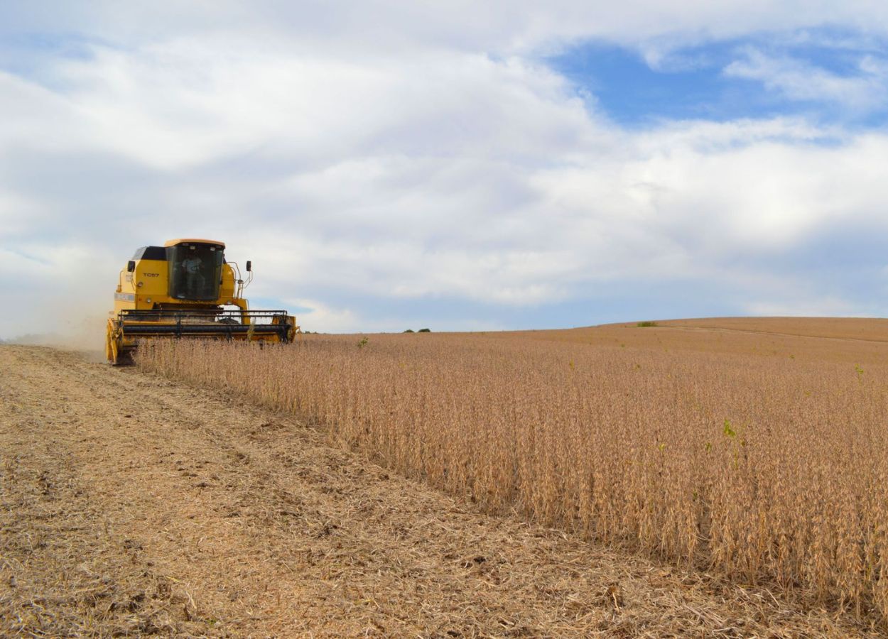 Colheita da soja chega a 50% na área da Cotrijal