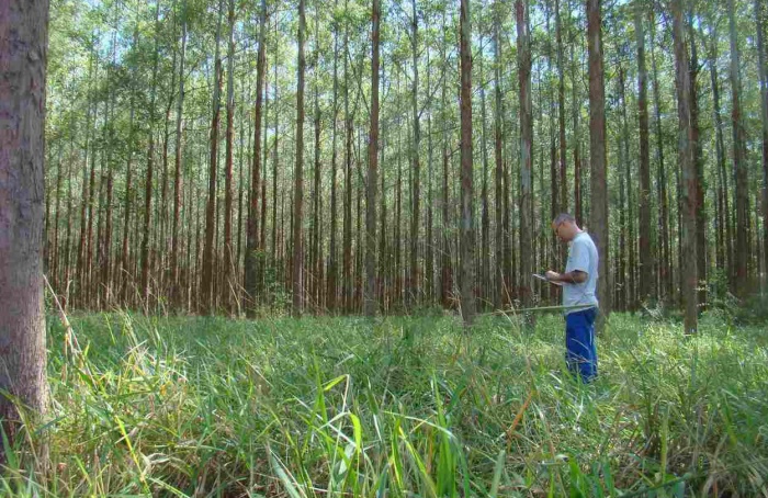 Cientistas criam protocolo para monitorar emissões de gases de efeito estufa na agricultura